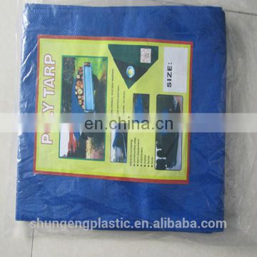 China hot sale PE tarpaulin plastic sheet from factory