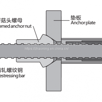 Hot Rolled Concrete Form Tie for Construction photo-2