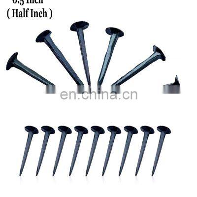 Hot Sales High Quality Shoe Tacks Nails photo-4