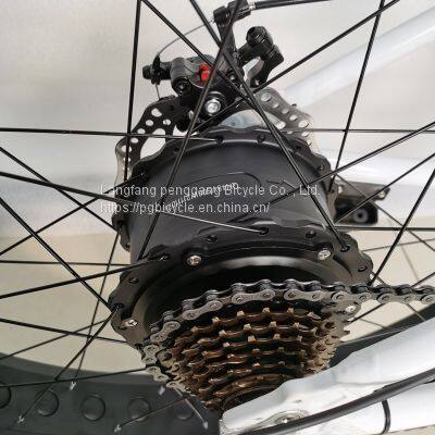 21speed 26inch Fat Tire Electric Bike Aluminum Alloy E-bike photo-5