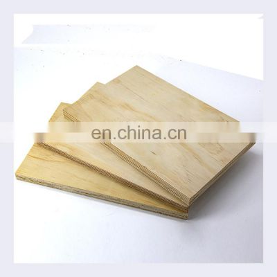 18mm Thickness Commercial Pine Plywood CDX Plywood Homedepot Pine Plywood