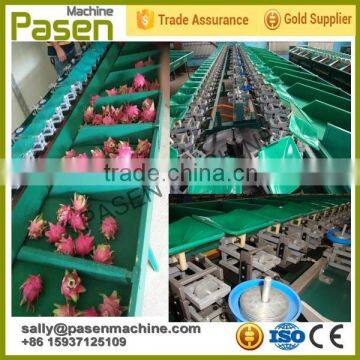 9600 pcs/H speed apple weight grading machine / mango apple grading machine