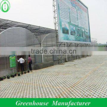 Venlo pc greenhouse for sale