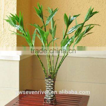 Fake flowers sitting room adornment dried flowers silk flowers floor plants plastic flowers High simulation flower lucky bamboo