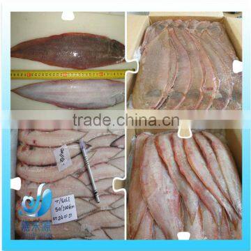 high quality frozen tongue sole fish