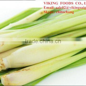 HOT PRODUCT 2016 FROZEN LEMONGRASS - HIGH QUALITY FROM VIETNAM