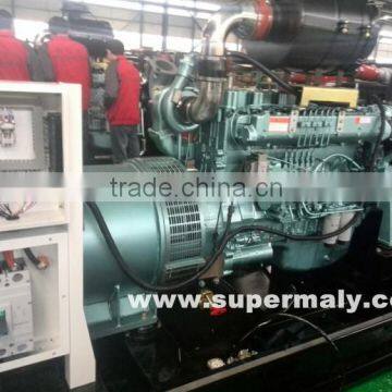 Manufacturer Generator Prime Power 250kw