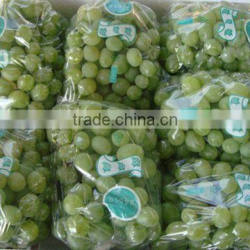 fresh green grape(good colour and quality)