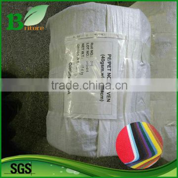 PET Spunbond non-woven