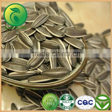 Top Sale Products Sunflower Seeds in China