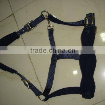PP Halter
