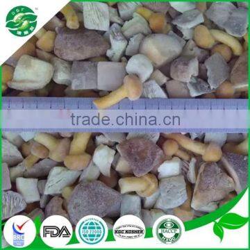 Iqf Frozen Mixed Mushroom (shiitake Nameko Oyster) photo-2