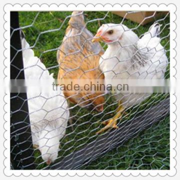 China Anping hot sale hexagonal chiken cages for sale(factory)