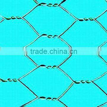 hexagonal wire mesh netting