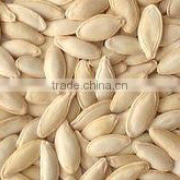Pumpkin Seeds Factory Price