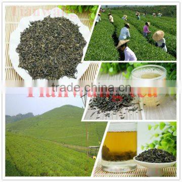 China Origin Chunmee green tea 9371, Hunan Tianwang brand tea