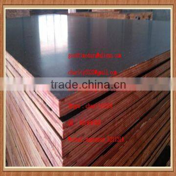 China Shandong Manufacturer film faced plywood 1220x2440x18mm 13 layers