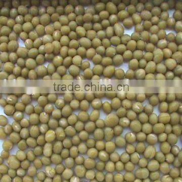 Canned Green Peas With Good Quality for Sale