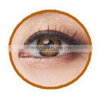 magic eye contact lens circle Seeshell BROWN color contact lenses