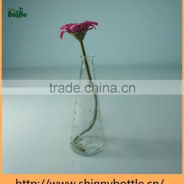 Glass Packaging Clean Empty Aroma Reed Diffuser Glass Bottle