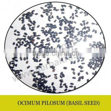 BASIL SEED