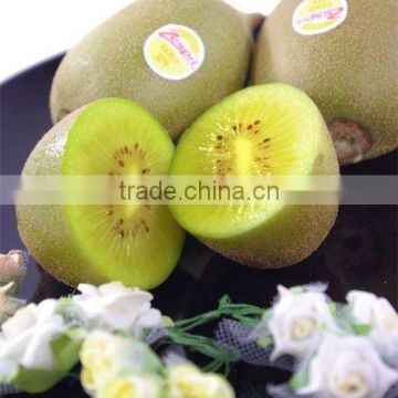 import new crop dried kiwi fruit with high quality and good price