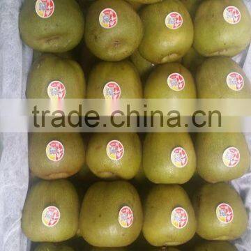 Fresh Red Kiwi Fruit photo-6