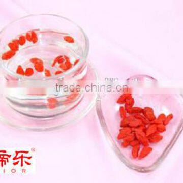 Oriental Chinese Herbal ,gojiberry or gojiberries