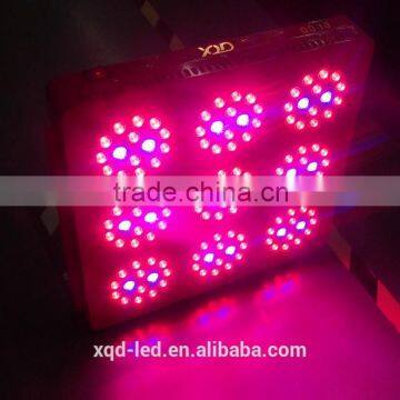 XQD 270W Greenhouse 3w Chip Led Grow Light Hydroponic Grow Lighting