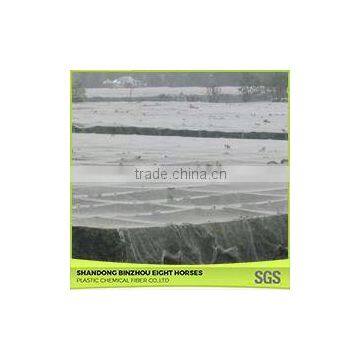 Website Agricultue Apple Tree Anti-Hail Net photo-5