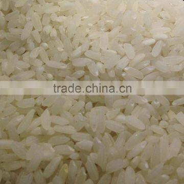 Sungold Short Grain White Rice