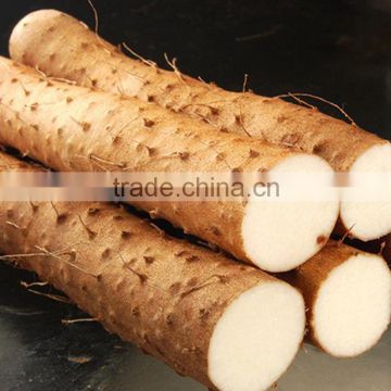 factory supply best price pure dioscorea opposita thumb powder/chinese yam extract powder