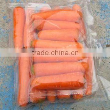 Fresh washed carrot of 100g-150g,150g-200g,200g & up