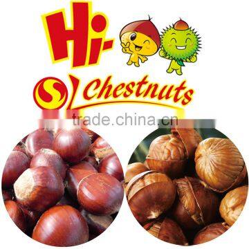 OEM Roasted Ringent Chestnut Oriental Snacks photo-5
