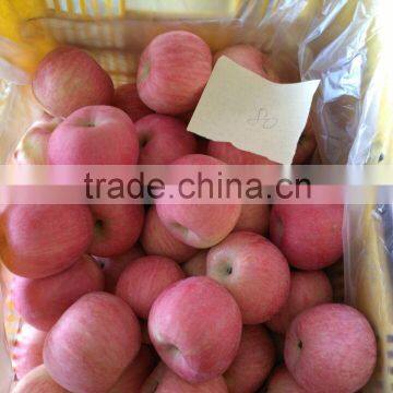 China Fresh Fuji Apples Processed by Our Own Factory From Our Own Stock