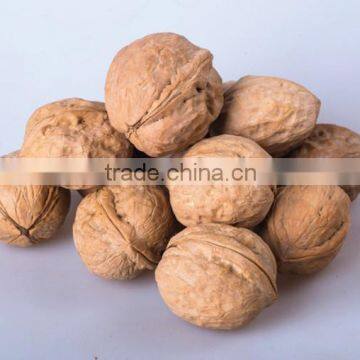 Chinese Walnut Kernel for Hot Sale and With Good Quality and Free Sample for You photo-4