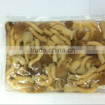 2014 fresh shimeji mushroom boiled in bag in brine shimeji mushroom 50kg plastic drums