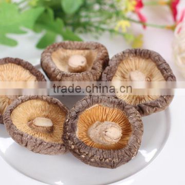 Dried schwarze mushroom