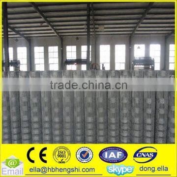 Wholesale Bulk Farm Cattle Fence, Hot Sal Electric Fence For Cattle