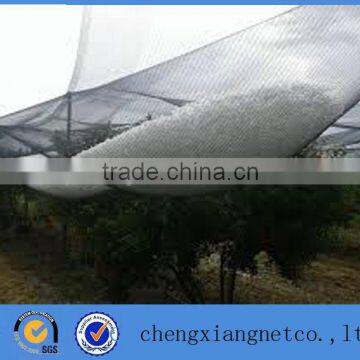 Agriculture apple tree anti hail net, anti hail netting, hdpe anti hail net