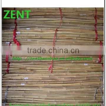 ZENT -5 bamboo cane /bamboo stake /bamboo pole