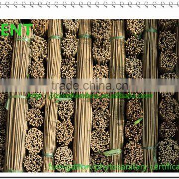 ZENT-122 Small Dry Low Price Natural Bamboo Poles /bamboo poles sale