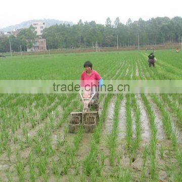 Paddy Weeder photo-5