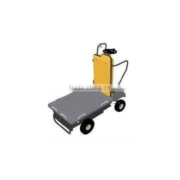 Electric Cart