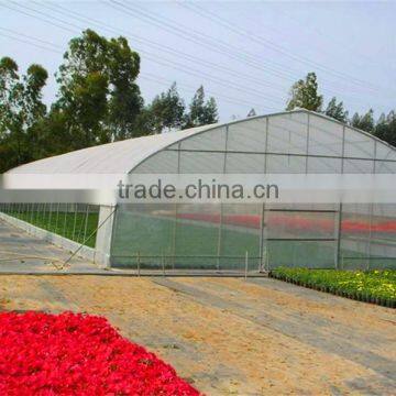 Economical Single Span Arch Pipes Film Greenhouse photo-3
