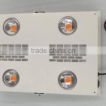 Professioanl Grow Light Bulbs 600W Led Grow Light Bulbs photo-4