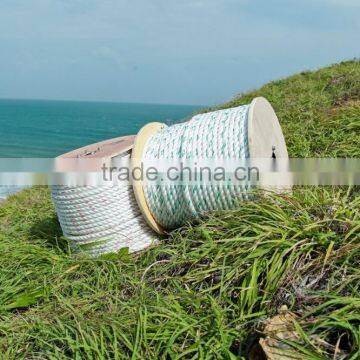 Polyester Cord Strapping photo-6