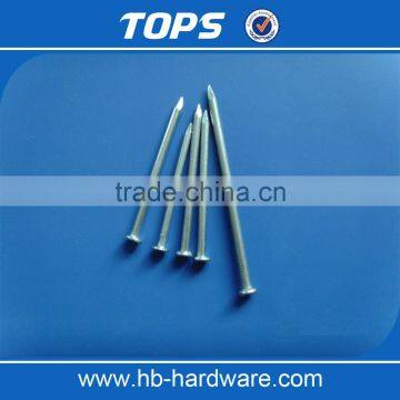 2017 China Cheap Wholesale Common Nail Wooden Nails Iron Nails photo-5