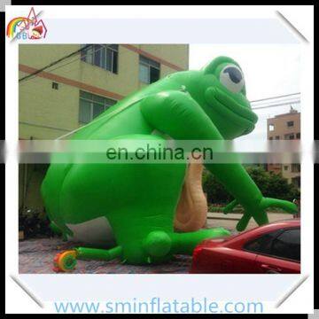Promotion Inflatable Frog Model,vivid Inflatable Animal Cartoon for Outdoor , Advertising Inflatable Green Frog Cartoon Model photo-2