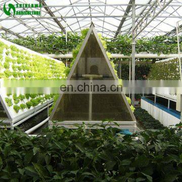 Agricultural Greenhouse Wall Hydroponic Growing Systems photo-4